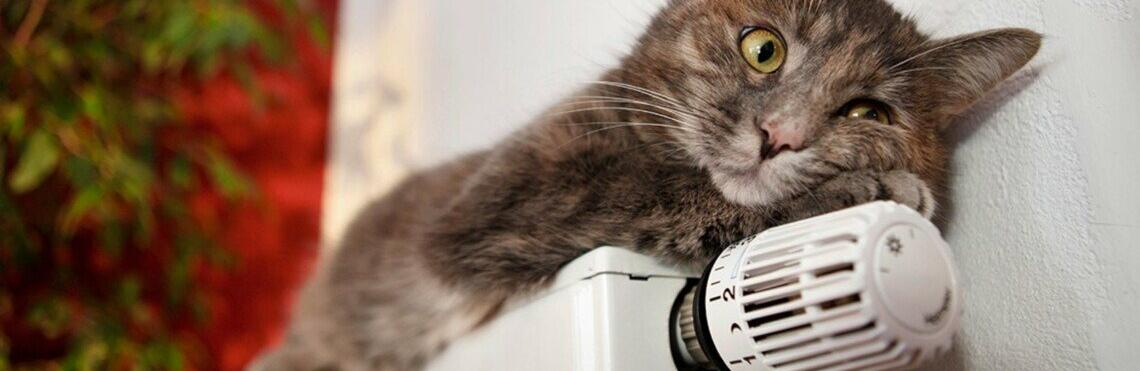 Озвучили дату, старту опалювального сезону в Україні