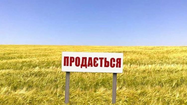 Верховная Рада может 14 января рассмотреть законопроект  об обороте земель сельхозназначения