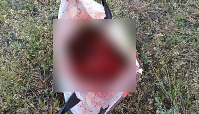Харьковчанка отрезала голову своей 13-летней дочери и гуляла с ней по городу