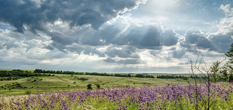 Наш край накриє дощова погода