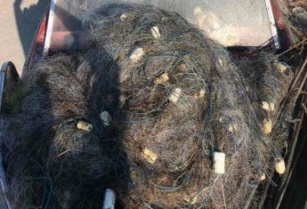 Браконьєри не полишають у спокої лимани Азовського моря