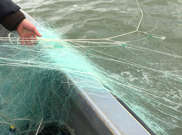 Акимовский районный суд оштрафовал злостного нарушителя правил рыболовства