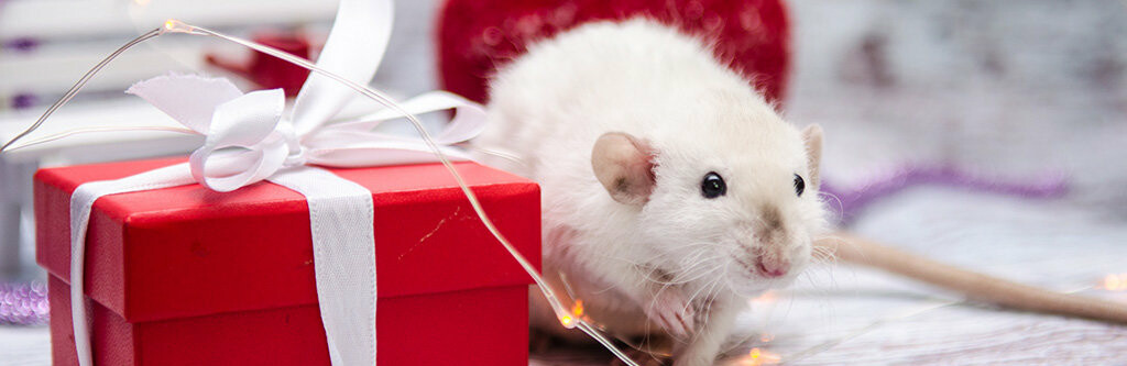 Новый год 2020: чего ожидать от Белой Металлической Крысы  Новый год 2020: чего ожидать от Белой Металлической Крысы