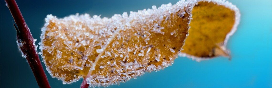 В Украину придут морозы… но не на долго  В Украину придут морозы… но не на долго