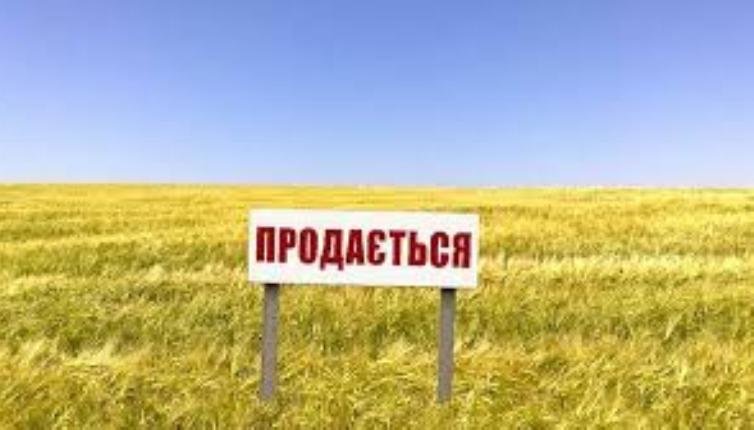 Названа цена гектара при продаже земли в Украине Названа цена гектара при продаже земли в Украине