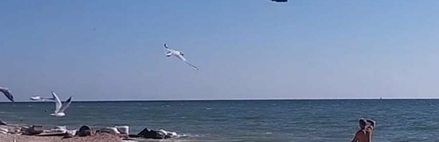 На Кирилловку в 2020 году откроют вертолетные маршруты На Кирилловку в 2020 году откроют вертолетные маршруты