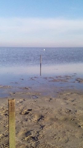 Молочный лиман стремительно наполняется