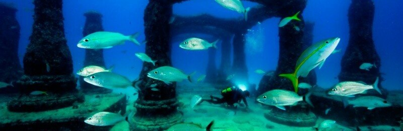 Незабаром розпочнеться реалізація пілотного пректа по створенню штучних рифів у Кирилівці