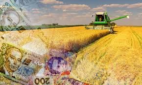 Аграрії України одержать від держави підтримку в кредитуванні