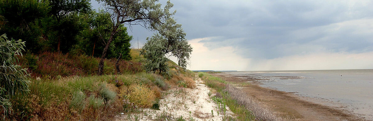 Відродження Молочного лиману сприятиме розвитку туризму в регіоні Відродження Молочного лиману сприятиме розвитку туризму в регіоні
