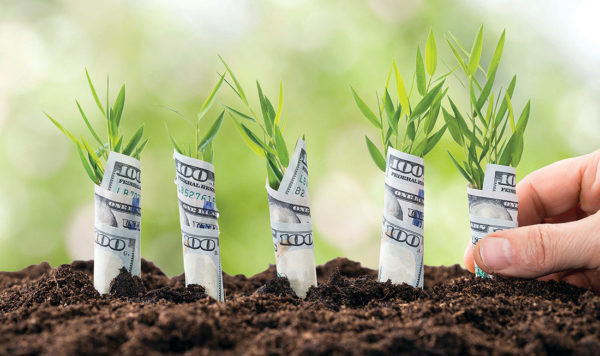  Сьогодні вночі «Слуги народу» намагатимуться прийняти закон про ринок землі