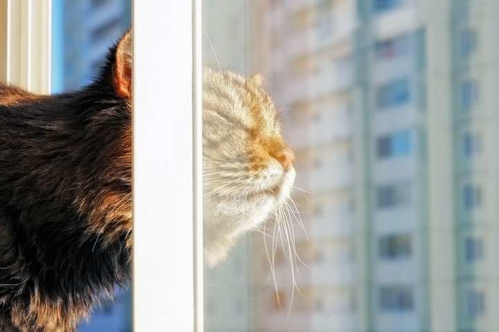 З неділі в Україні потеплішає