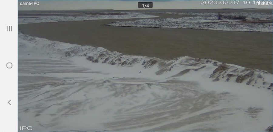 Солоність води в Молочному лимані неухильно знижується