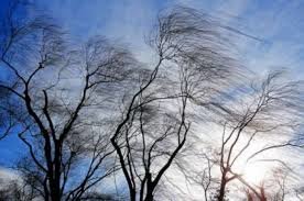 У Запорізькій області в найближчі дні буде хмарно, волого і вітряно