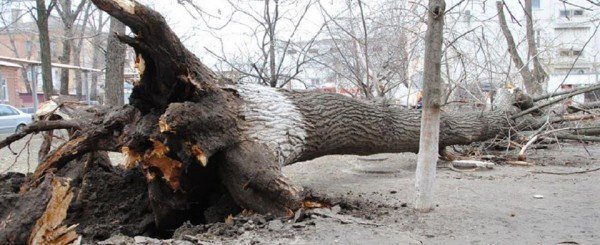 На Запорізьку область насувається страшний ураган, червоного рівня небезпеки!