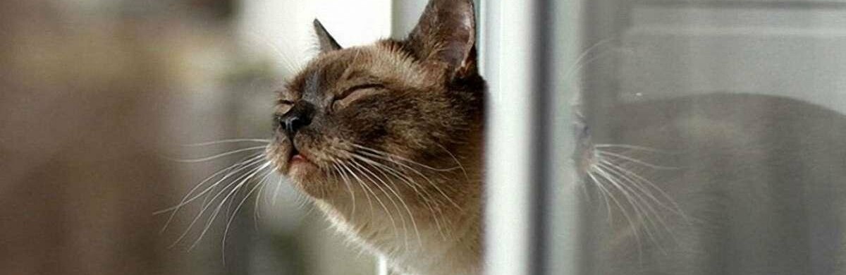 Українців чекає потепління!