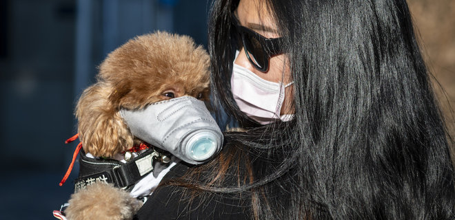 Українці не зможуть ввести домашніх тварин з Китаю Українці не зможуть ввести домашніх тварин з Китаю