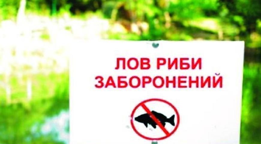 У Запорізькій області вводиться з 1 квітня заборона на вилов риби  