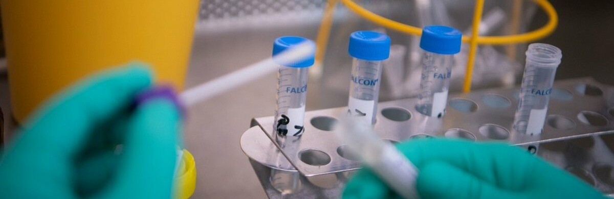 На Запоріжжі поки жодного підтвердження коронавірусу немає