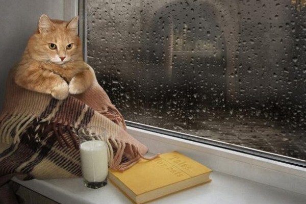 Україна відчує  в найближчі дні похолодання