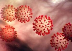 Поки в Кирилівці захворювання коронавірусом на рівні балачок