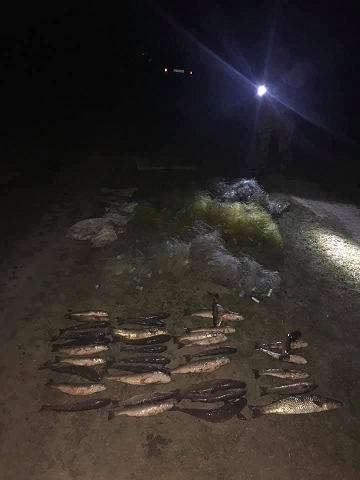 На Утлюцькому лимані затримали браконьєра з виловленим піленгасом на 54 тисячі гривень