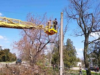 На території Кирилівської ОТГ висадять новий парк