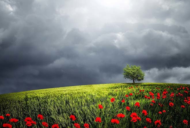 Початок травня – спека,  в кінці першої декади прийдуть дощі