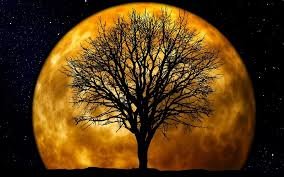  Кириляни матимуть можливість  сьогодні спостерігати за Супермісяцем