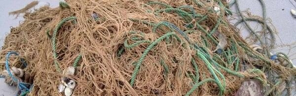 Якимівський районний суд повернув браконьєрам заборонені знаряддя лову 