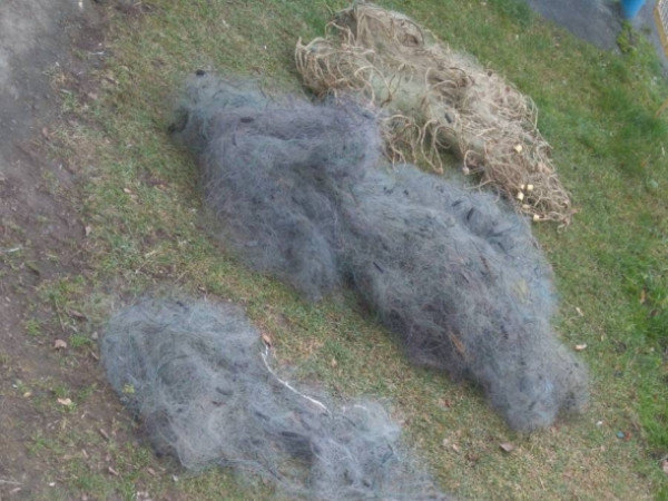 Браконьєри атакують Молочний лиман – у охоронців природи турбот додалось 