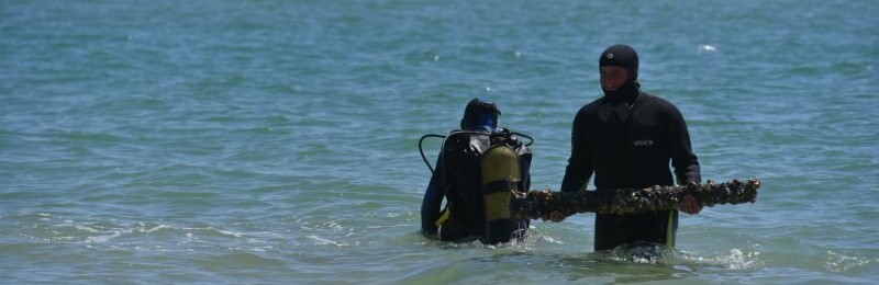 У Кирилівці водолази почали очищення акваторії пляжів від небезпечн... У Кирилівці водолази почали очищення акваторії пляжів від небезпечних предметів