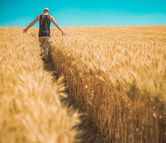 Фермери України матимуть пільгові умови в придбанні землі