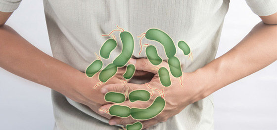 На базі відпочинку «Дніпровські зорі» в Кирилівці спалах інфекційного захворювання