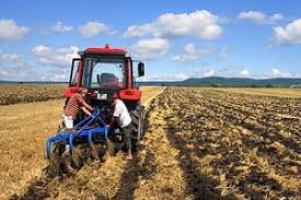  Для дрібних фермерів депутати зі «Слуги народу»  вигадали додатковий фінансовий тягар