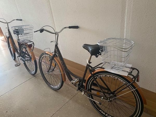 Соцработники Кирилловки получили в подарок велосипеды 