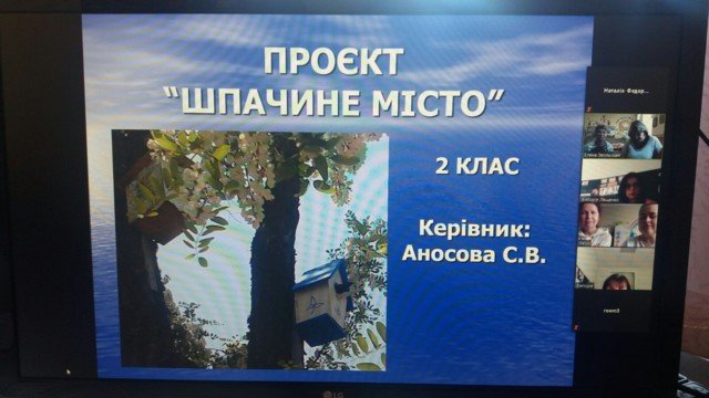 Обмін досвідом у режимі онлайн провели освітяни Кирилівської громади