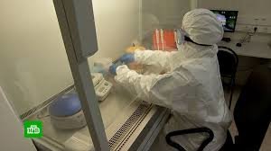 Запорізький регіон встановив власний антирекорд з коронавірусу