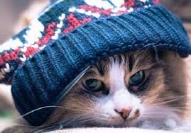 Незабаром у нас похолодає